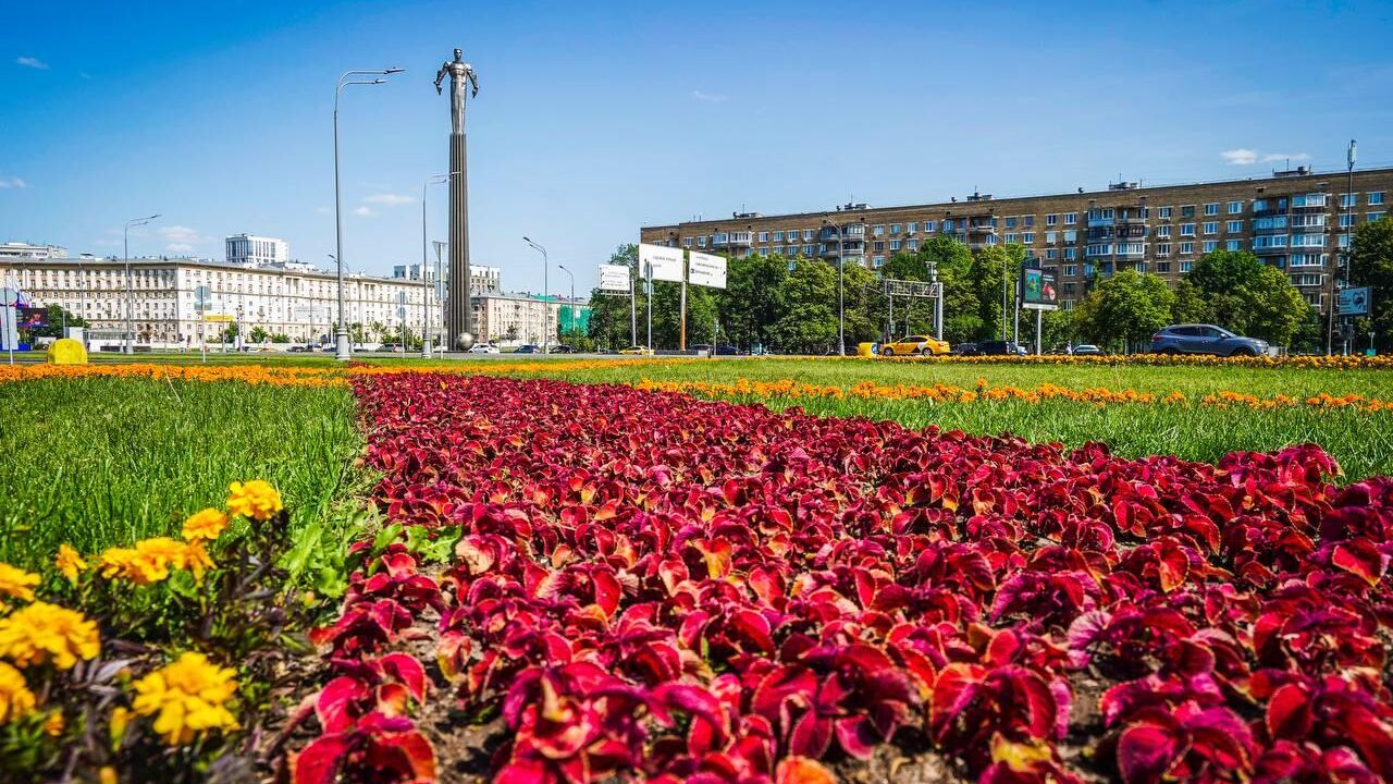 Тематические цветники украсили Москву в честь Года педагога и наставника - РИА Новости, 1920, 04.07.2023