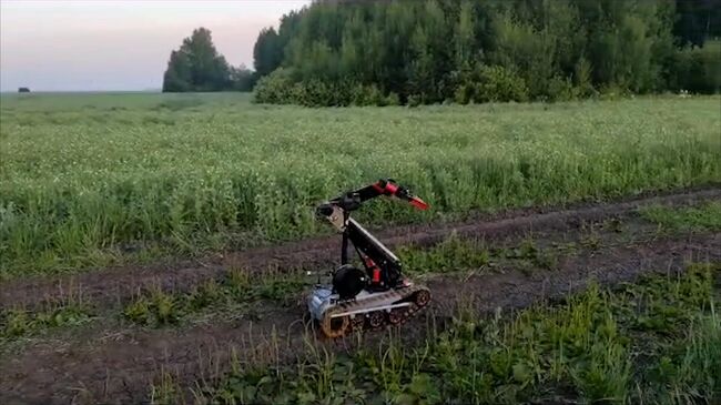 Кадры с места готовившегося теракта в Тюменской области