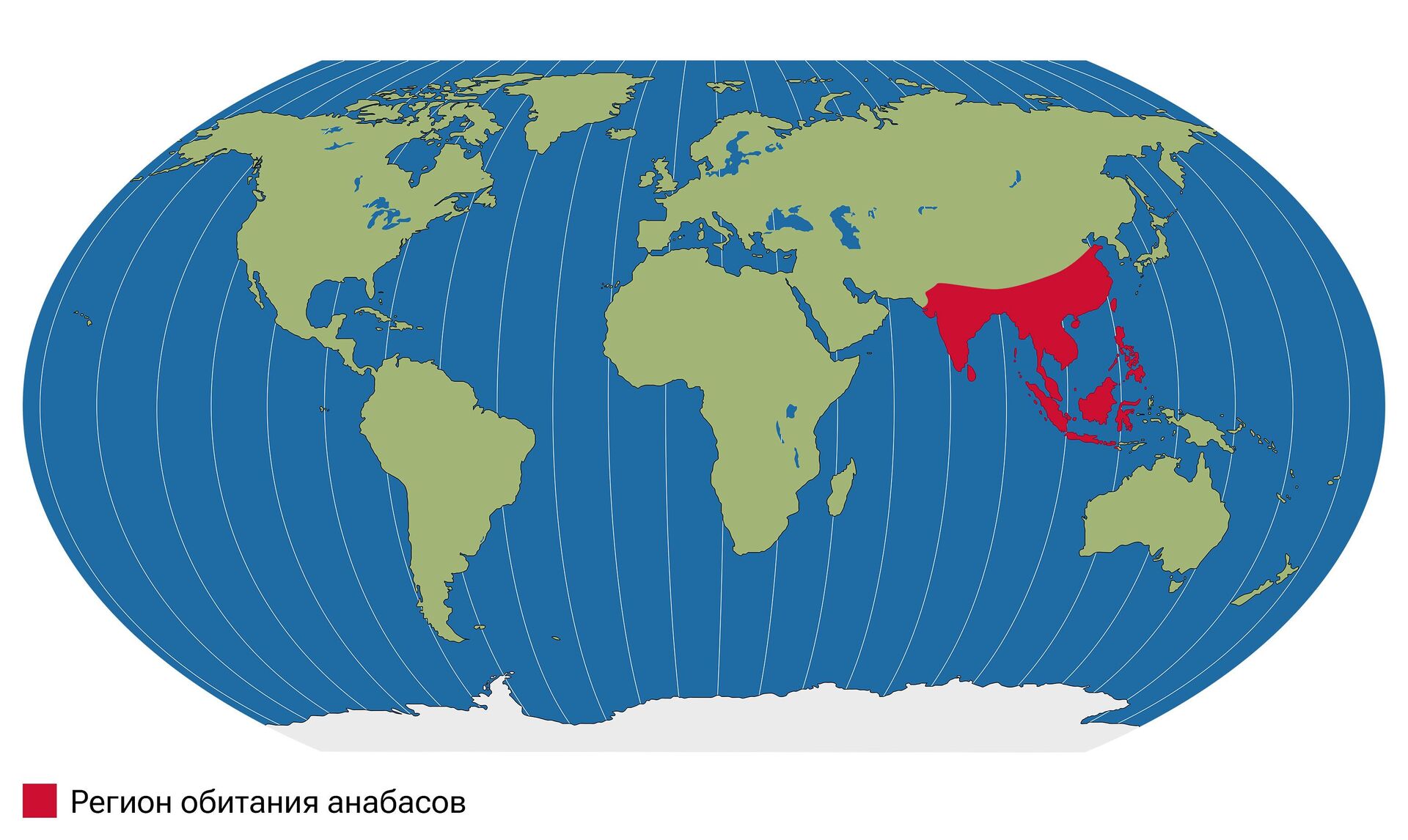 Регион обитания анабаса - РИА Новости, 1920, 06.07.2023