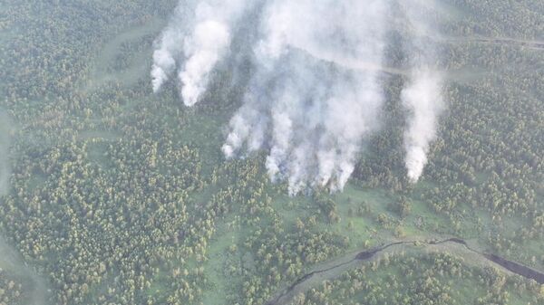 Дым от лесных пожаров в Амурской области
