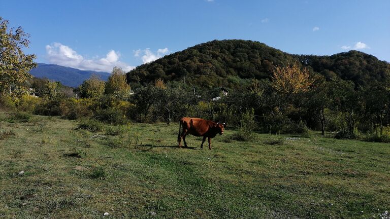 Абхазия