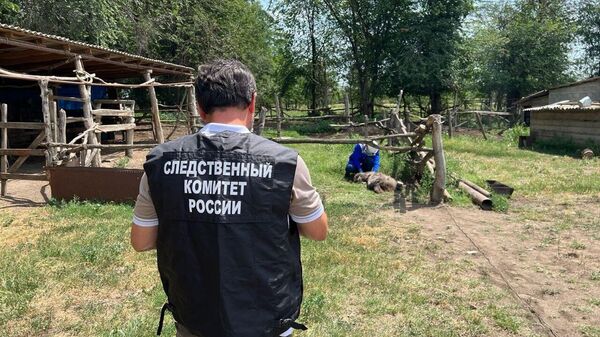 Сотрудник Следственного комитета России на месте нападения собаки на девочку в Грозном