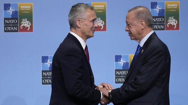 Генеральный секретарь НАТО Йенс Столтенберг приветствует президента Турции Реджепа Тайипа Эрдогана во время прибытия на саммит НАТО в Вильнюсе