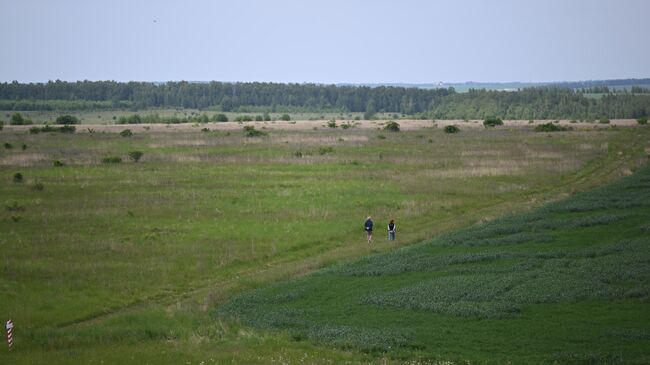 Посетители гуляют по территории музея-заповедника Куликово поле в Тульской области