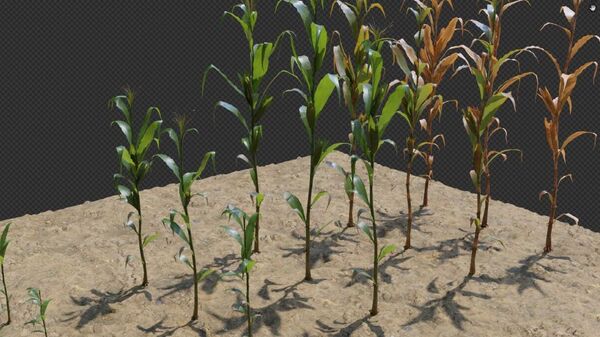 3D-модели сельскохозяйственных культур из разработанного в БелГУ мобильного приложения