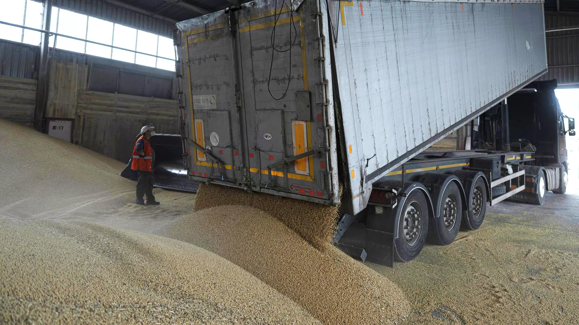 ЕС сократил закупки украинского зерна впервые с начала протестов фермеров
