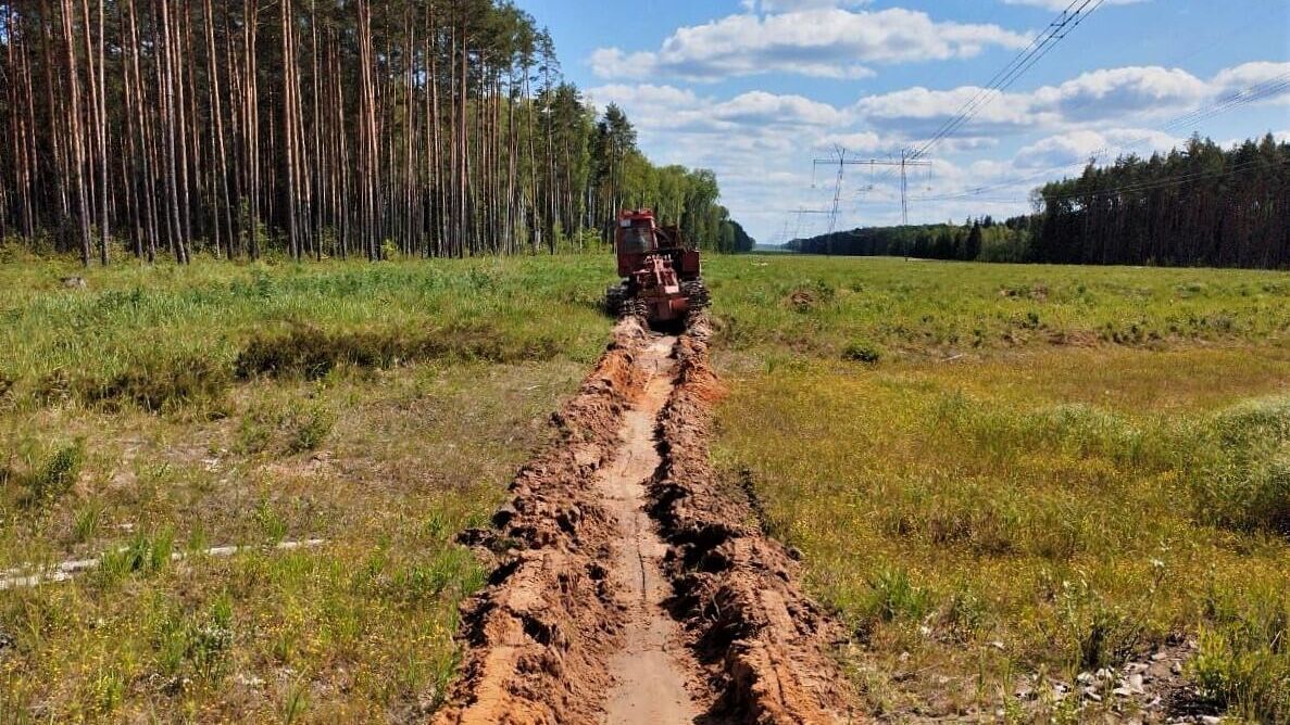 Более 130 % от календарного плана выполнено по прочистке минполос в лесах Подмосковья - РИА Новости, 1920, 18.07.2023