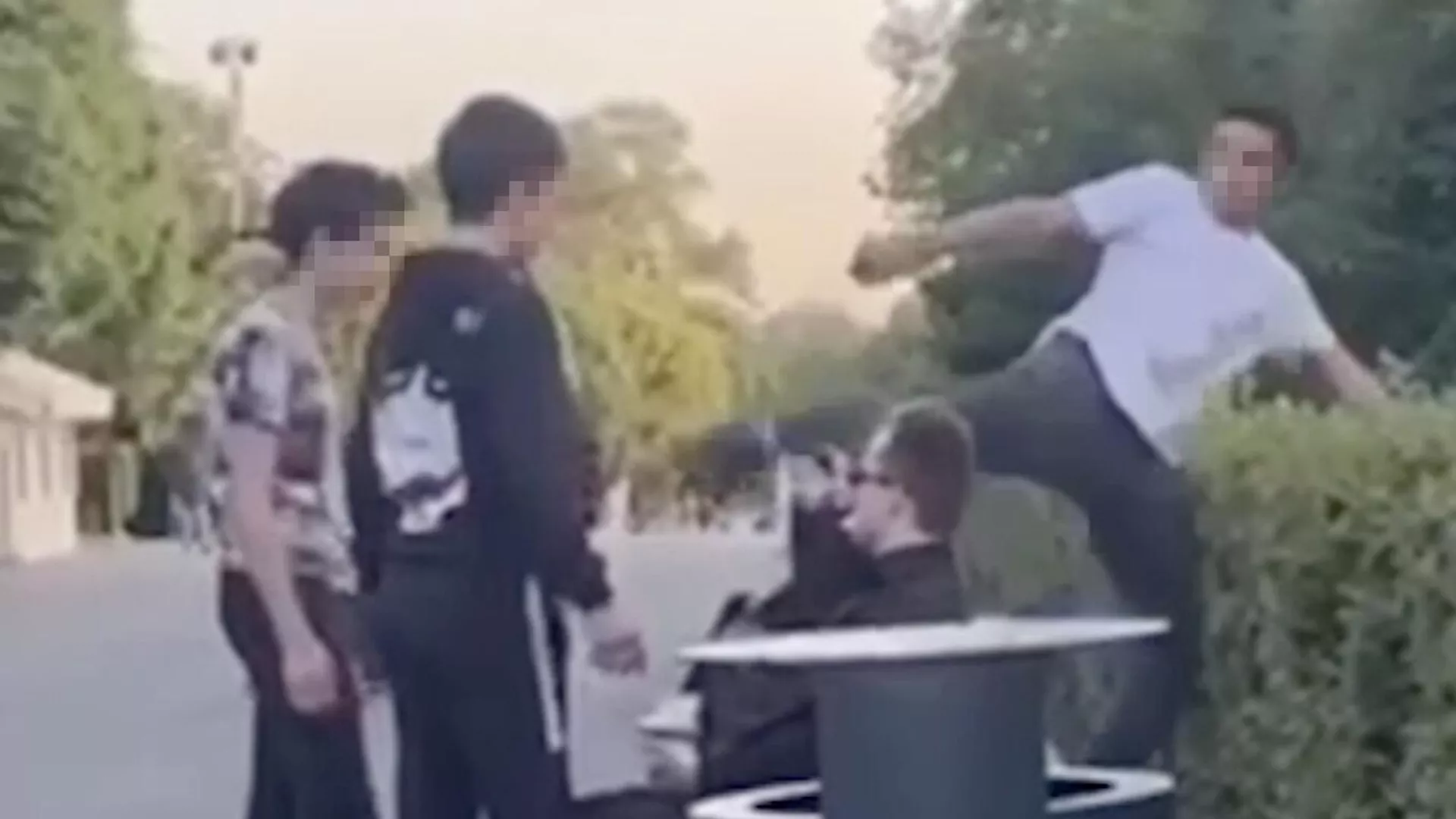 Кадр видео нападения на мужчину в Парке Горького Кадр видео нападения на мужчину в Парке Горького - РИА Новости, 1920, 20.07.2023
