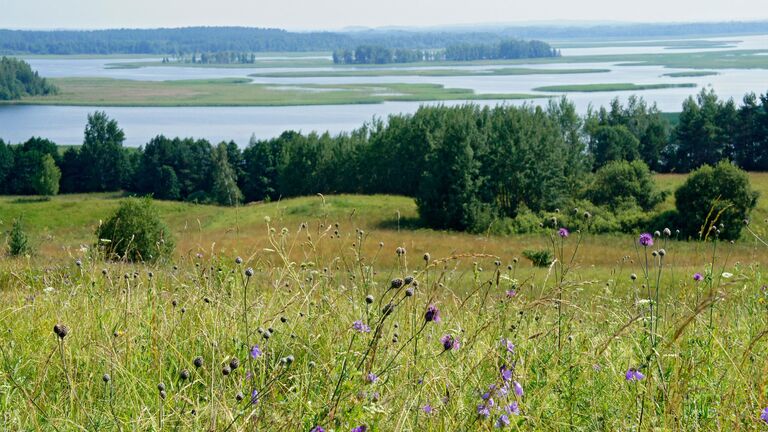 Вид с горы Маяк на Национальный парк Браславские озера, расположенный на северо-западе Белоруссии