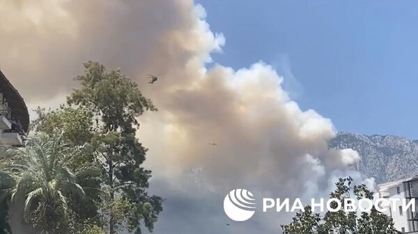 Дым от лесного пожара в Турции