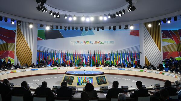 Первое пленарное заседание саммита Россия - Африка