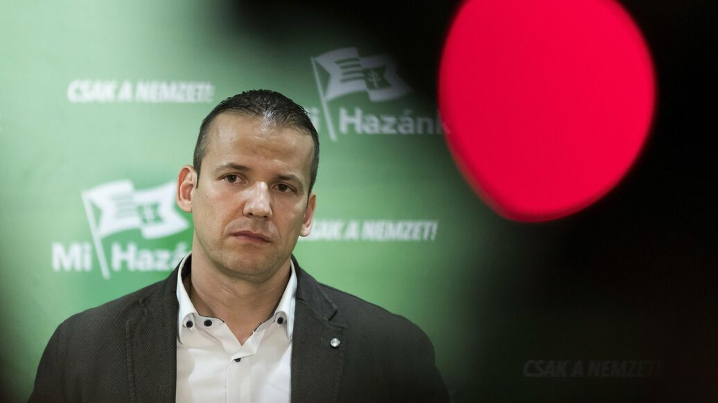 Венгерский депутат обратился к Медведеву с просьбой из-за Украины