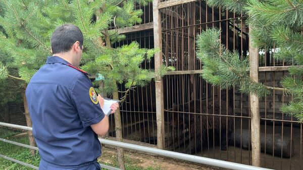 Сотрудник СК России у вольера с медведем на зооферме в Алексинском районе
