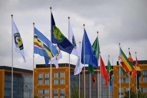 Флаги государств-участников на II Саммите, экономическом и гуманитарном форуме Россия - Африка в Санкт-Петербурге