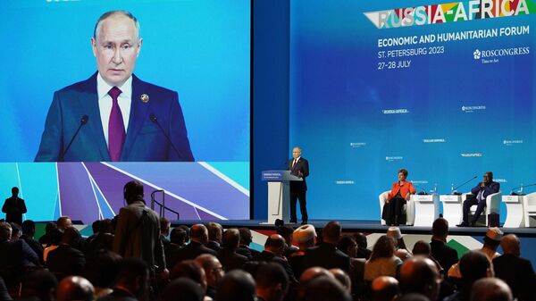 Президент России Владимир Путин выступает на пленарном заседании II Cаммита и форума Россия - Африка 