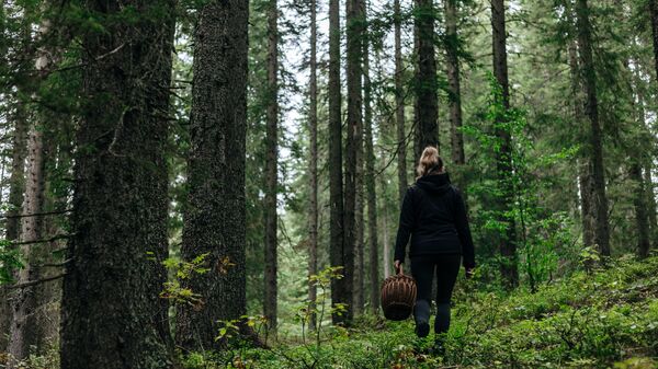 Девушка собирает грибы в лесу
