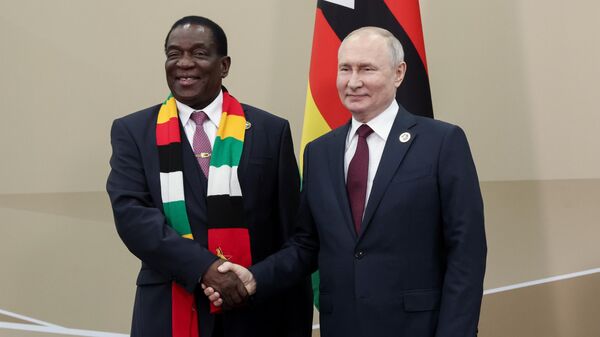 Президент РФ Владимир Путин и президент Республики Зимбабве Эммерсон Мнангагва во время встречи