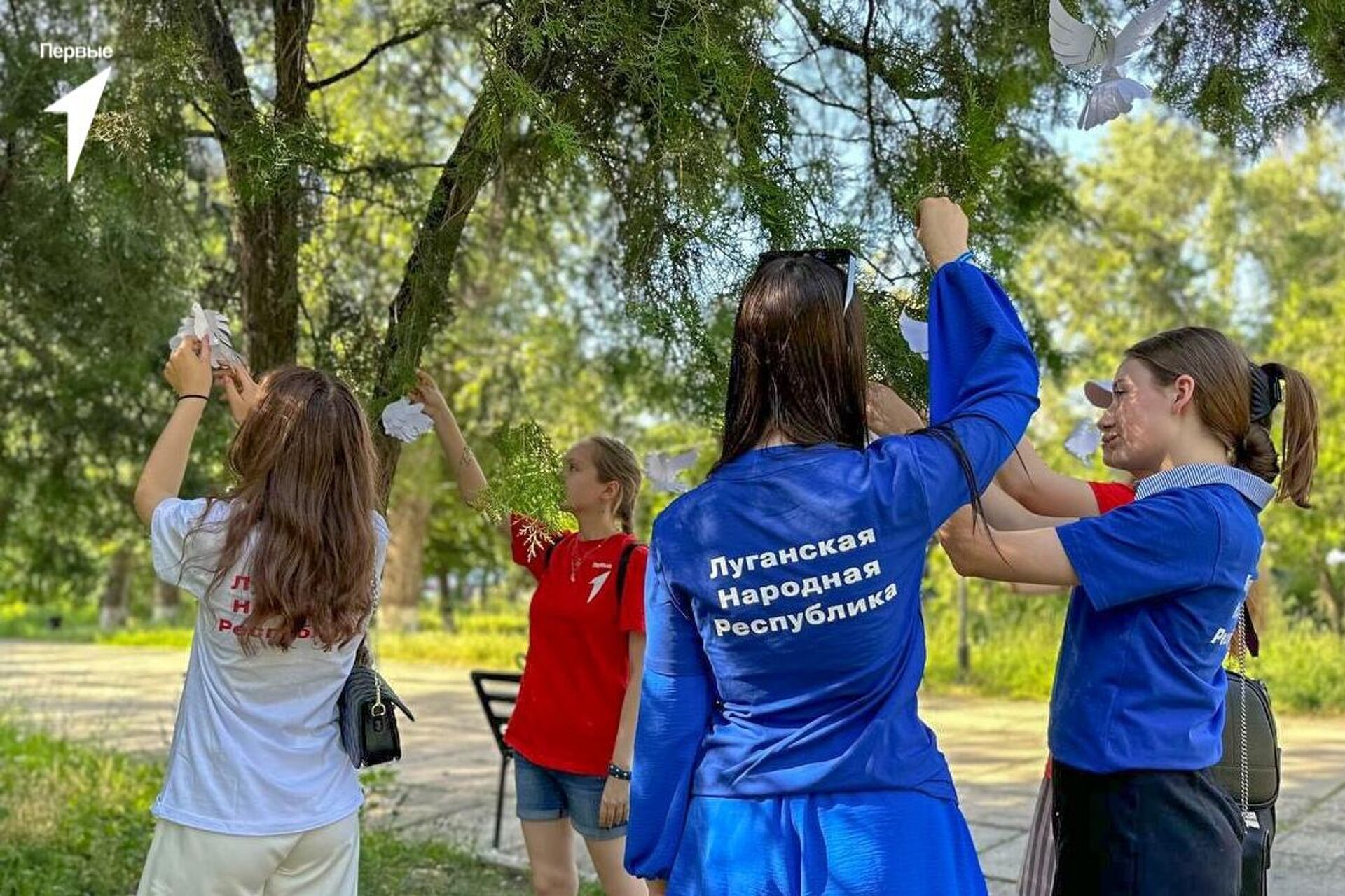 Школьники и студенты ЛНР развесили в одном из парков Луганска сделанных своими руками белых голубей из бумаги - РИА Новости, 1920, 27.07.2023