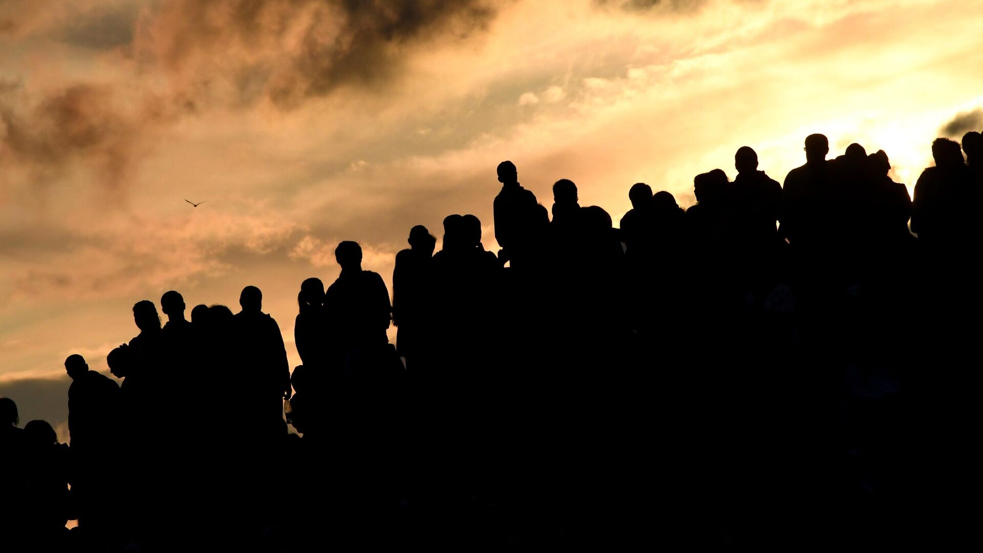 Люди стоят во время заката - РИА Новости, 1920, 17.01.2024