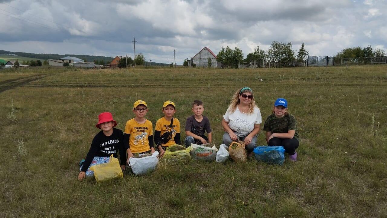 Дети с бабушками в башкирском селе собирают участникам СВО травы для чая - РИА Новости, 1920, 28.07.2023