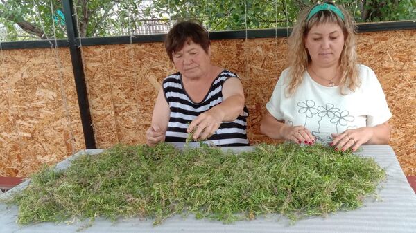 Дети с бабушками в башкирском селе собирают участникам СВО травы для чая