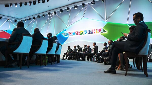 Участники пленарного заседания II Саммита Россия - Африка в Санкт-Петербурге