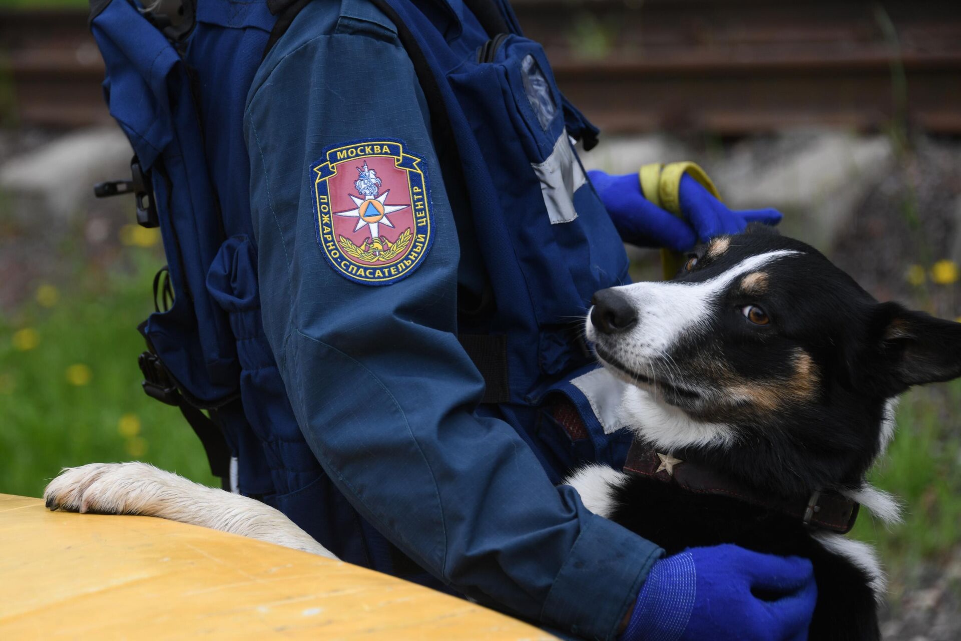 Сотрудник пожарно-спасательного центра со служебной собакой - РИА Новости, 1920, 28.07.2023