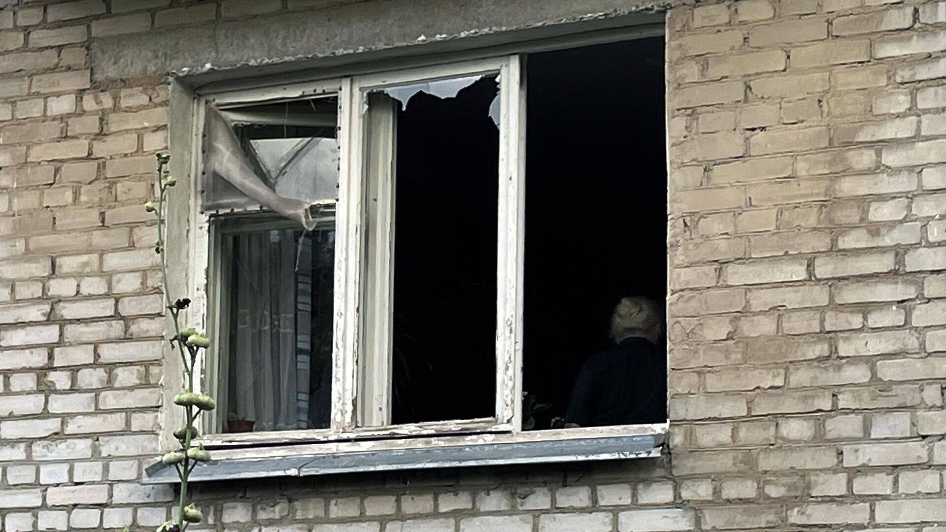 Выбитые в результате взрыва стекла в окнах жилого дома. Архивное фото - РИА Новости, 1920, 26.12.2023