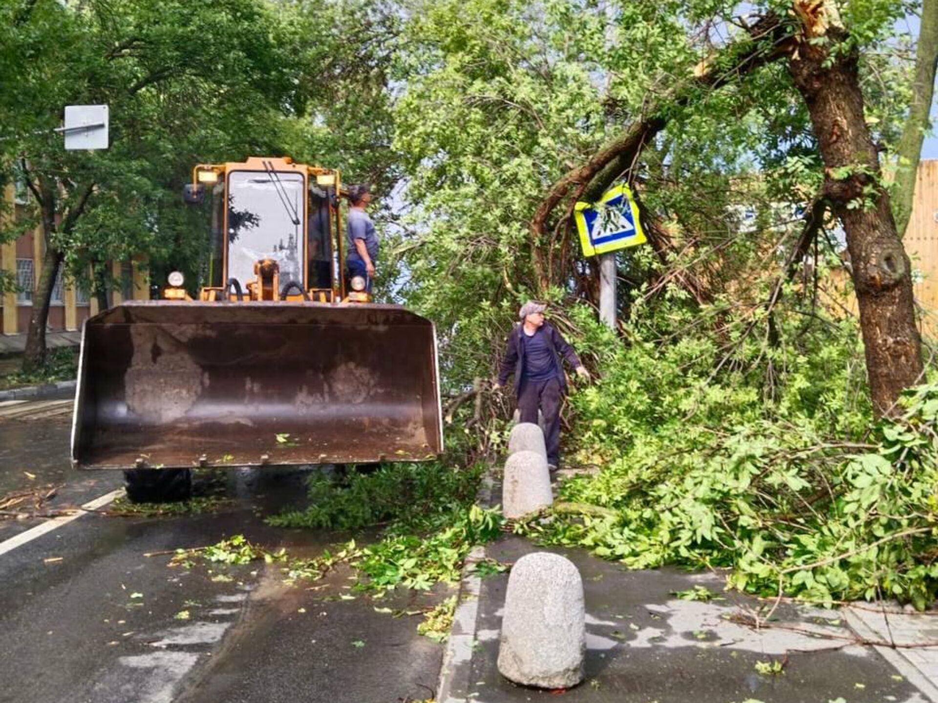 На Нижний Новгород обрушился ливень, шквалистый ветер повалил деревья - РИА  Новости, 29.07.2023