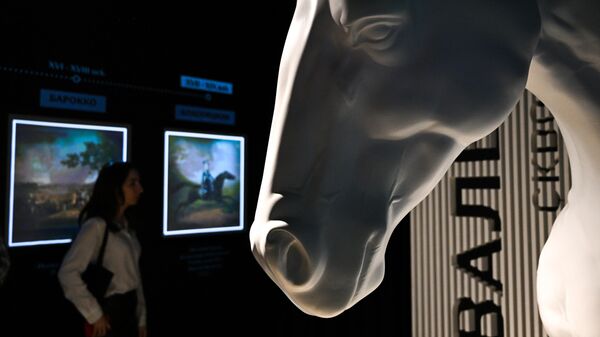 Посетительница во время осмотра экспозиции Музея лошади на ВДНХ