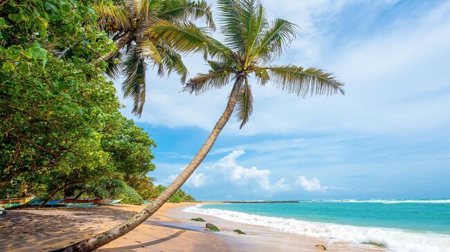 Пляж Мирисса на Щри-Ланке