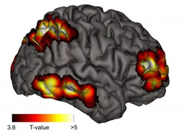 ���� �� ����� ���������� ����������