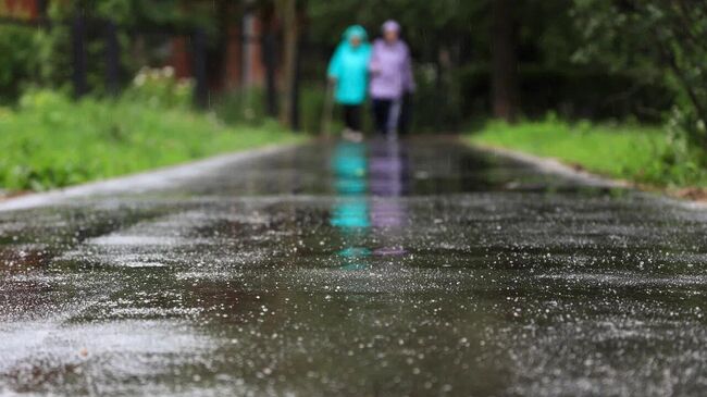 Более 300 народных троп благоустроили в Подмосковье