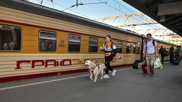 Пассажиры у поезда Гранд-Экспресс на Московском вокзале в Санкт-Петербурге.