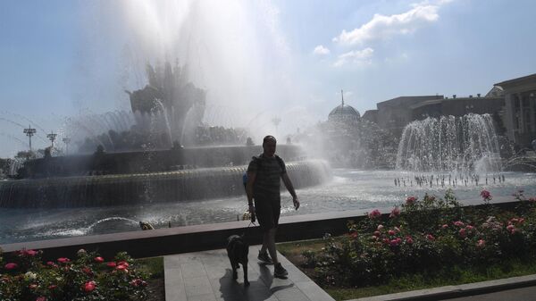 Мужчина гуляет с собакой в жаркий день у фонтана Каменный цветок на территории ВДНХ