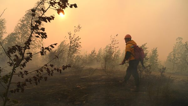 Сотрудник ФБУ Авиалесоохрана на месте тушения лесного пожара. Архивное фото