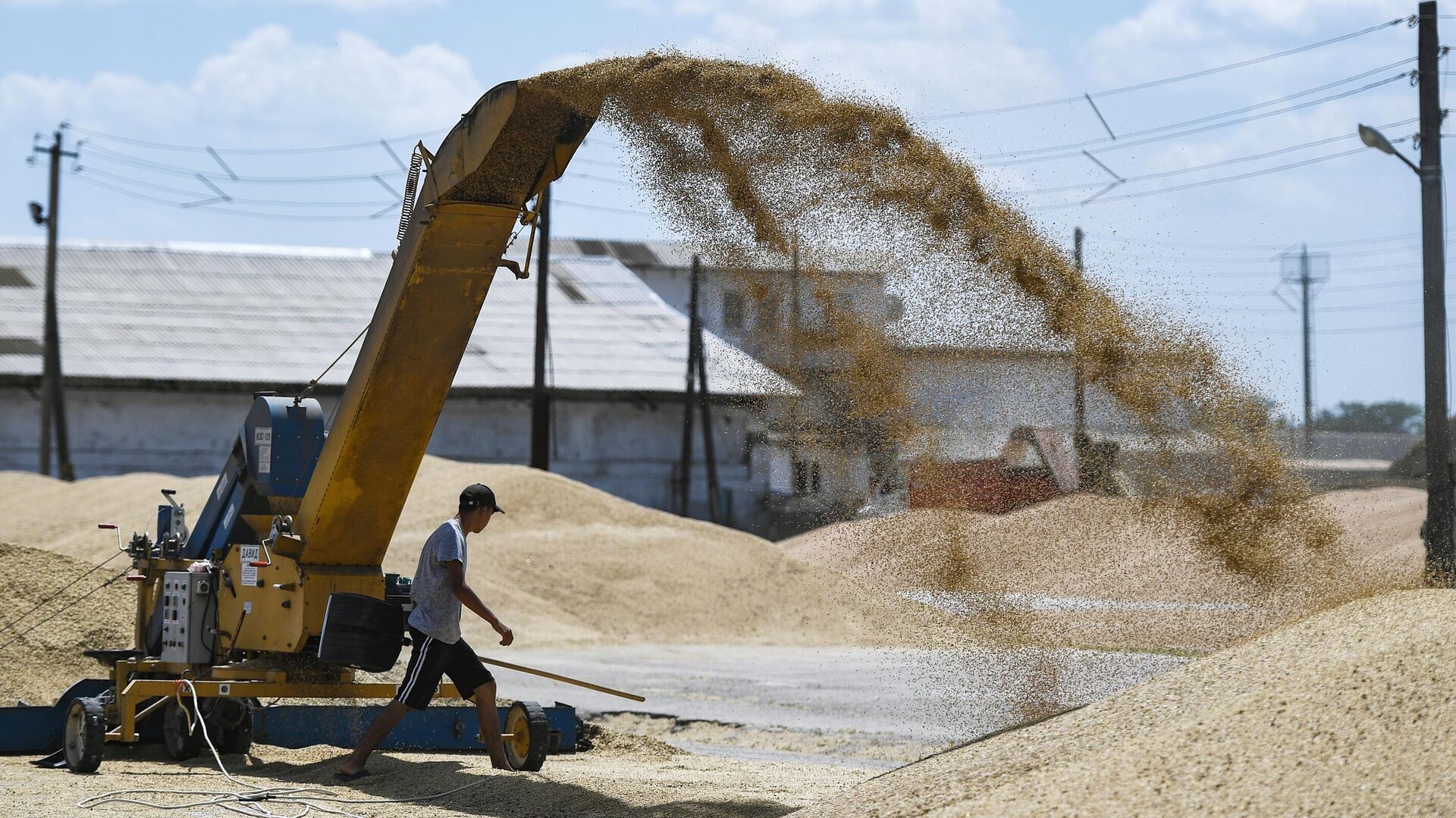 Блумберг: китайские импортеры отменили несколько партий кукурузы с Украины