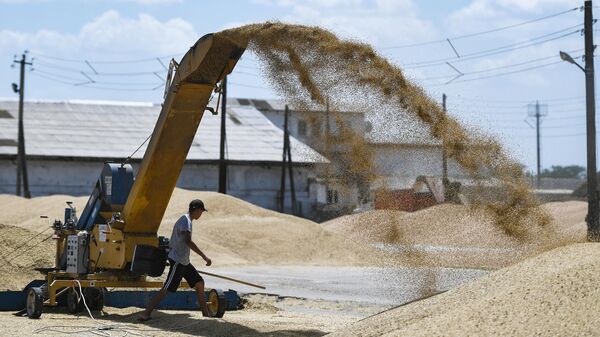 Перевалка зерна на зерновом терминале, Крым