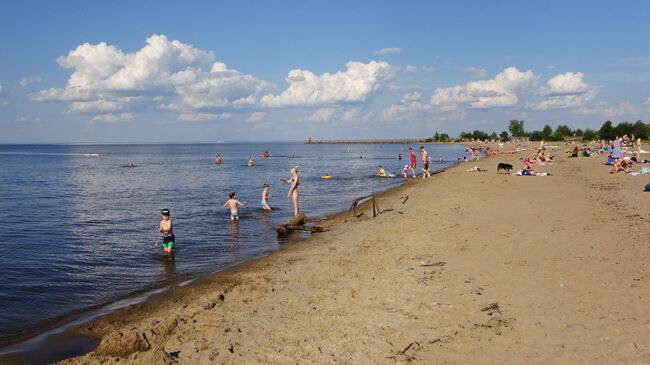 Пляж на Белом озере в Белозерске