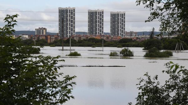 Уровень воды в реке, затопившей Уссурийск, достиг рекордной отметки