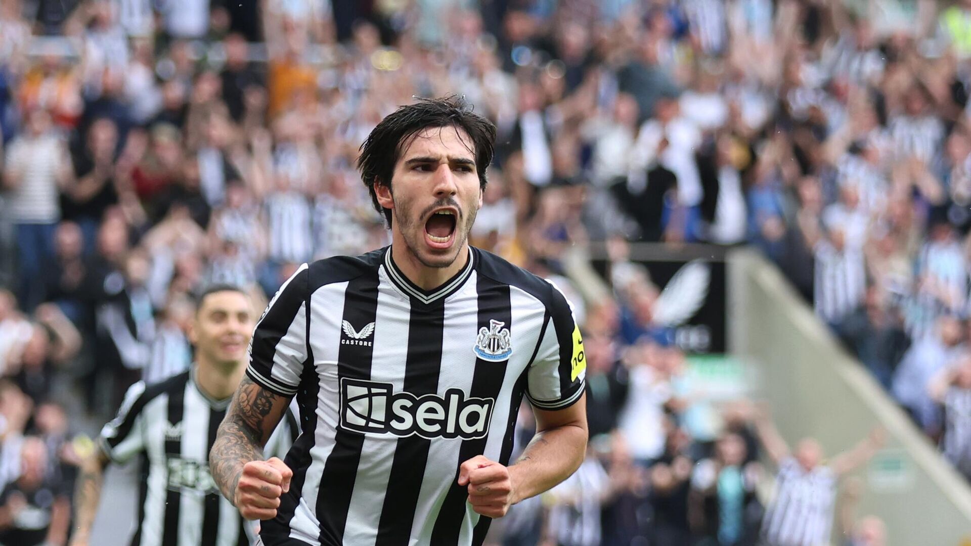 Сандро Тонали, футболист: статистика на сегодня, голы, набранные очки, достижения - РИА Новости Спорт