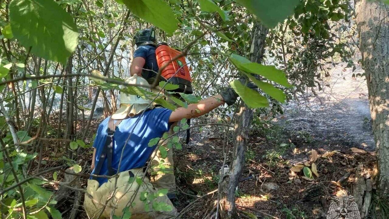 Тушение пожара в Жигулевском заповеднике у села Бахилова Поляна в Самарской области - РИА Новости, 1920, 13.08.2023