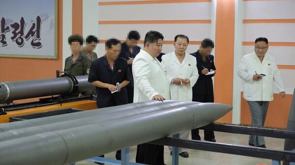 Лидер КНДР Ким Чен Ын проинспектировал работу военных заводов