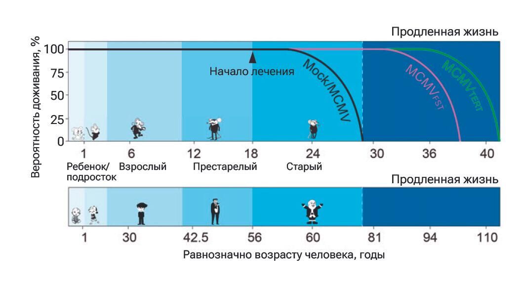 Продление жизни - РИА Новости, 1920, 16.08.2023