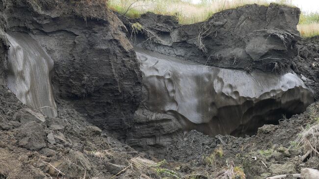 Обнажение Дуванный яр, низовья Колымы: многолетнемерзлые отложения и ледяные жилы