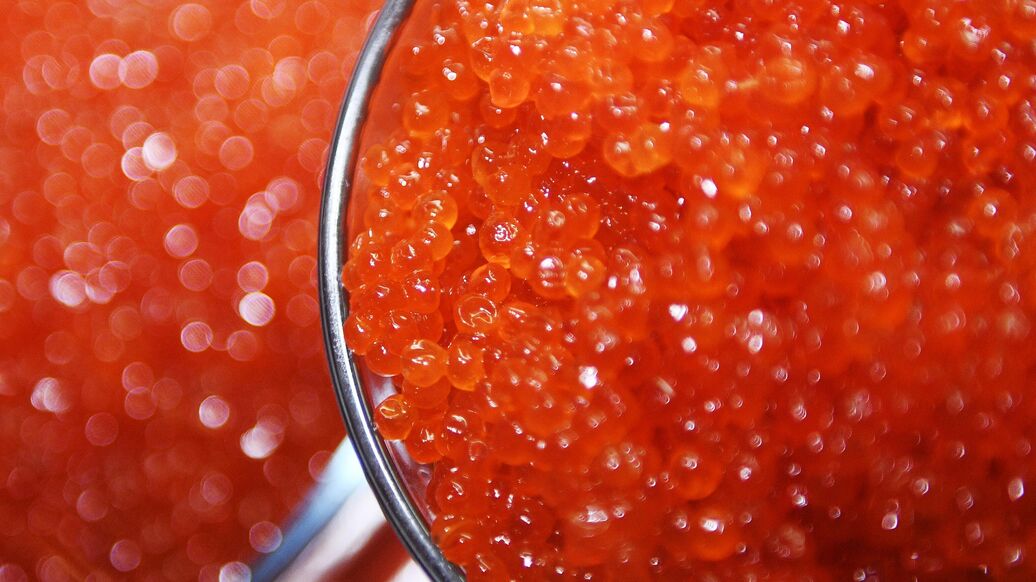 Росрыболовство не исключило, что икра подешевеет к Новому году