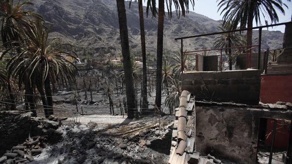 Последствия лесных пожаров на Канарах