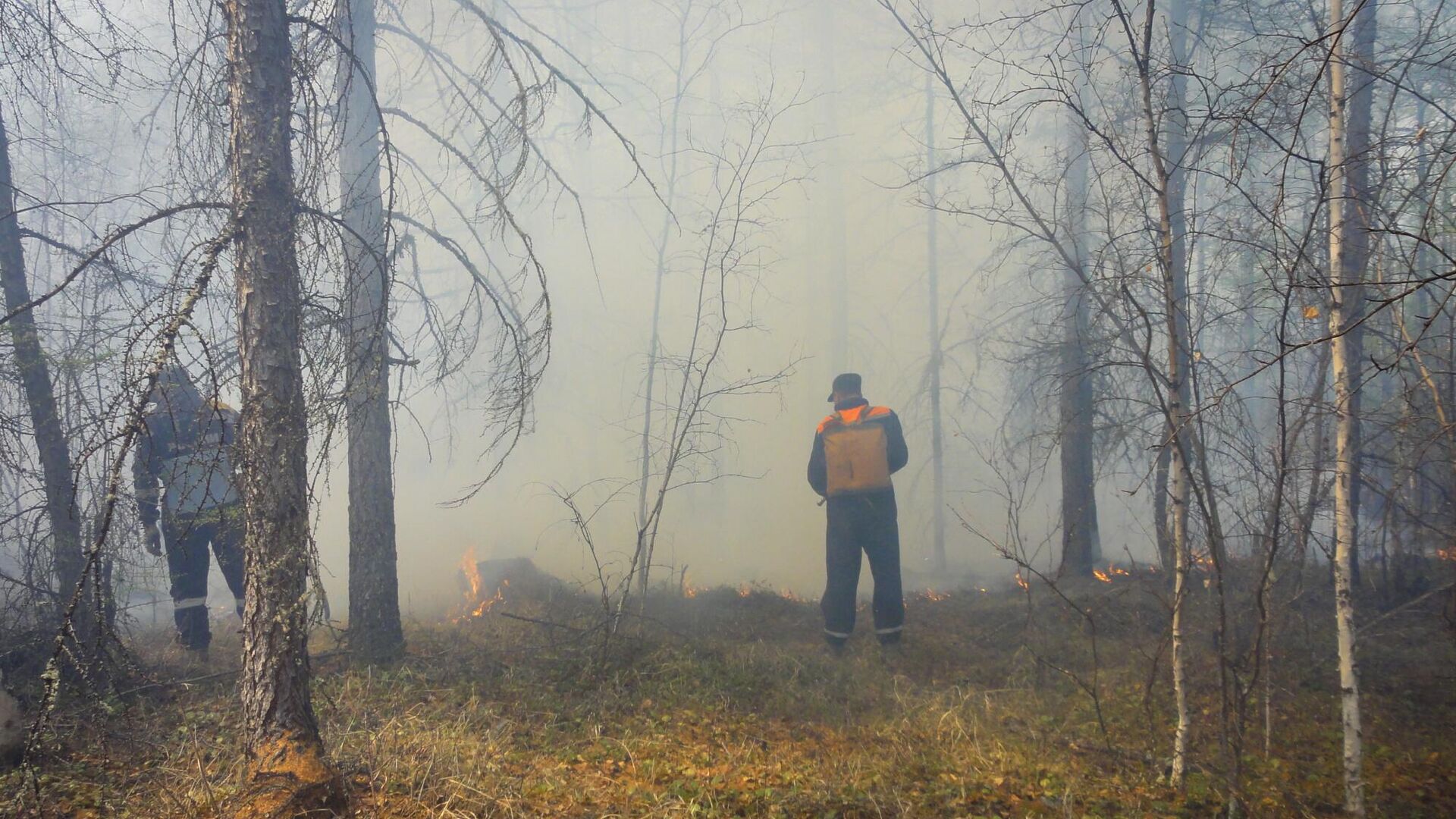 Тушение лесного пожара - РИА Новости, 1920, 04.05.2024