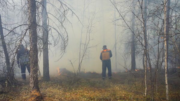 Тушение лесного пожара в Якутии
