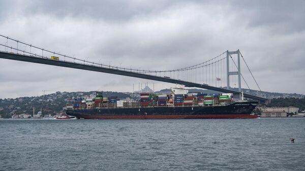 Судно Joseph Schulte, следующее из Одессы, проходит через Босфорский пролив в Стамбуле